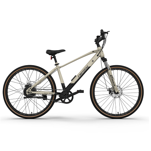 Electric Cycle